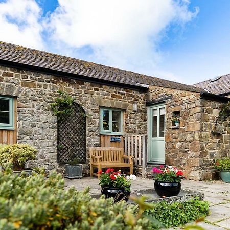 Cwm Connell Coastal Cottages Moylgrove Zewnętrze zdjęcie